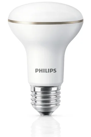 led 60w e27 l/calida r63 36d dim 1bc/6(9290011144)