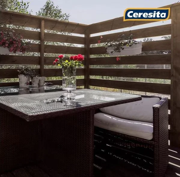 cerestain gris grafitogl 11381301 - Imagen 3