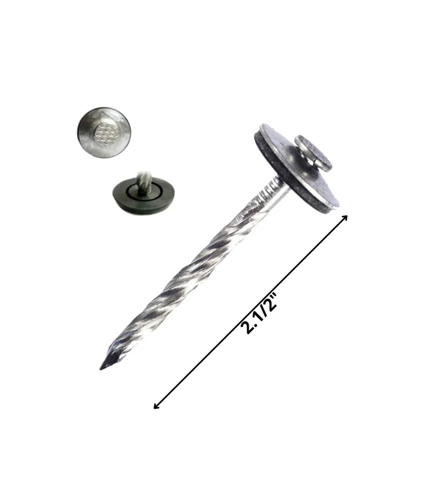 clavo techo paragua envasado 2,1/2 - Imagen 2