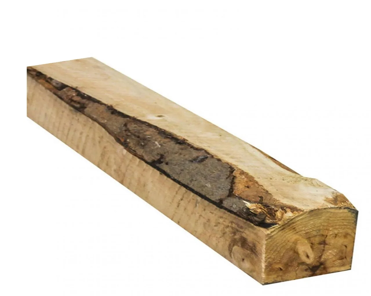 cuarton pino 4x4x3,2