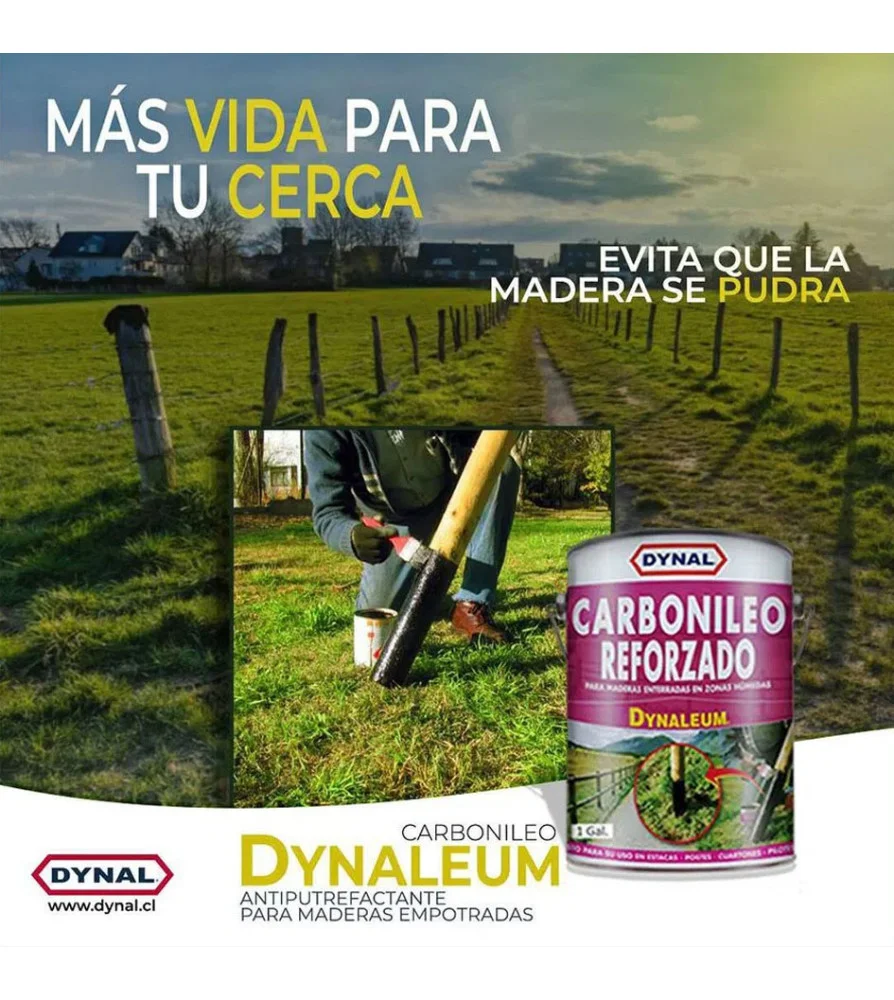 dynaleum l carbonileo tn -dynal - Imagen 2