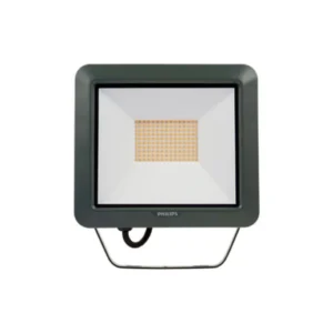 proyector miniflood led 30w 5700k/bco frio (562)