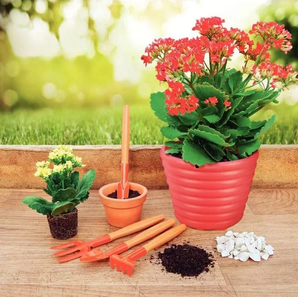 kit para jardin 4 pz, mgo madera tramontina - Imagen 7