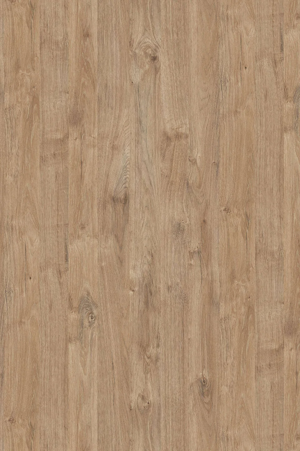 melamina gold harbor oak 19mmx2070x2800 k361 - Imagen 3