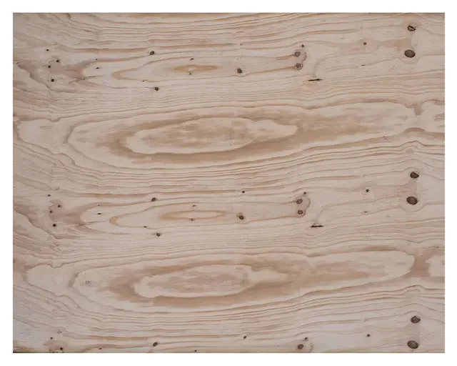 terciado moldaje 15x1220x2440 (bc) - Imagen 2