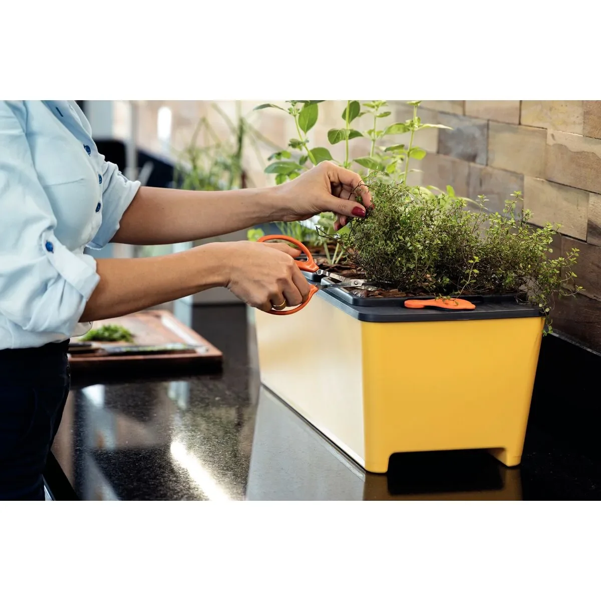 tijera para cosecha de frutas tramontina - Imagen 4