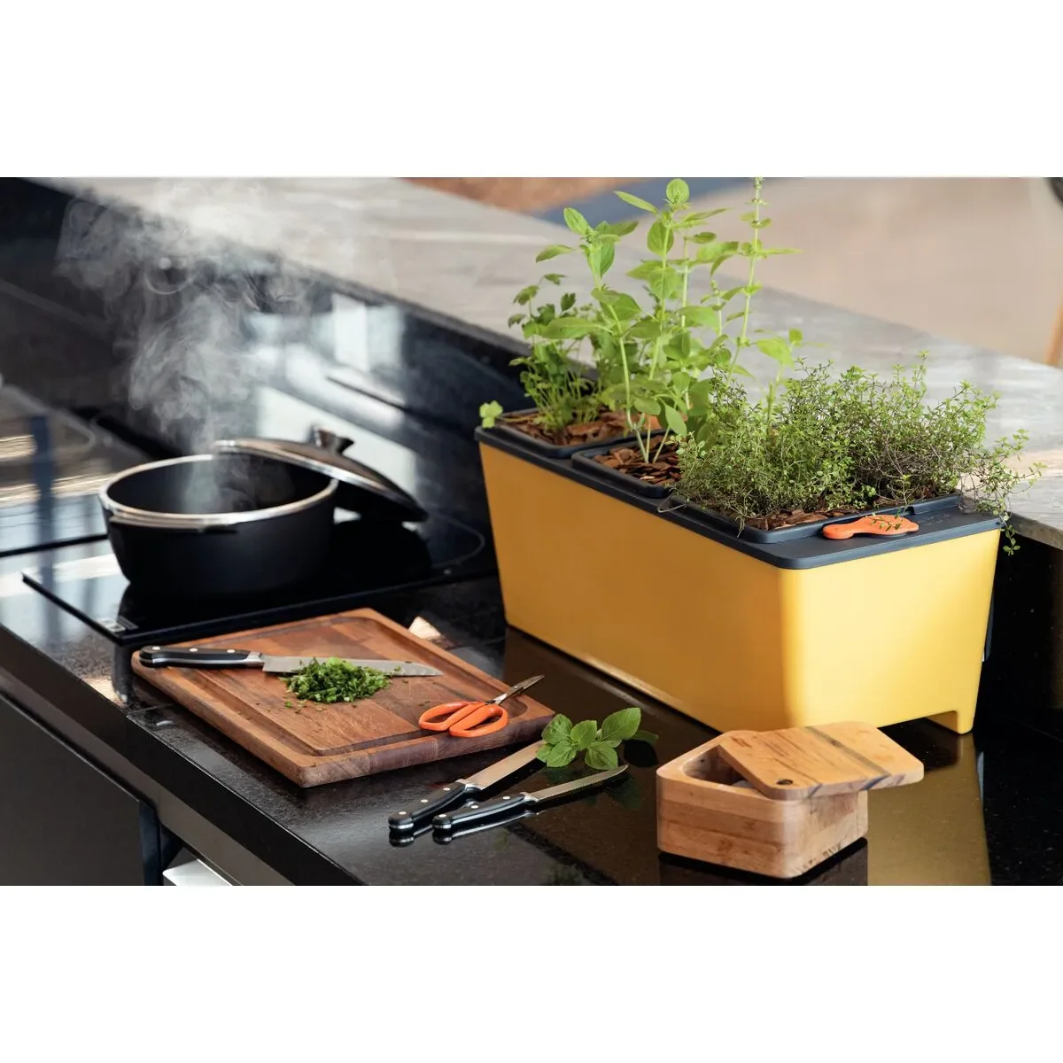 tijera para cosecha de frutas tramontina - Imagen 6